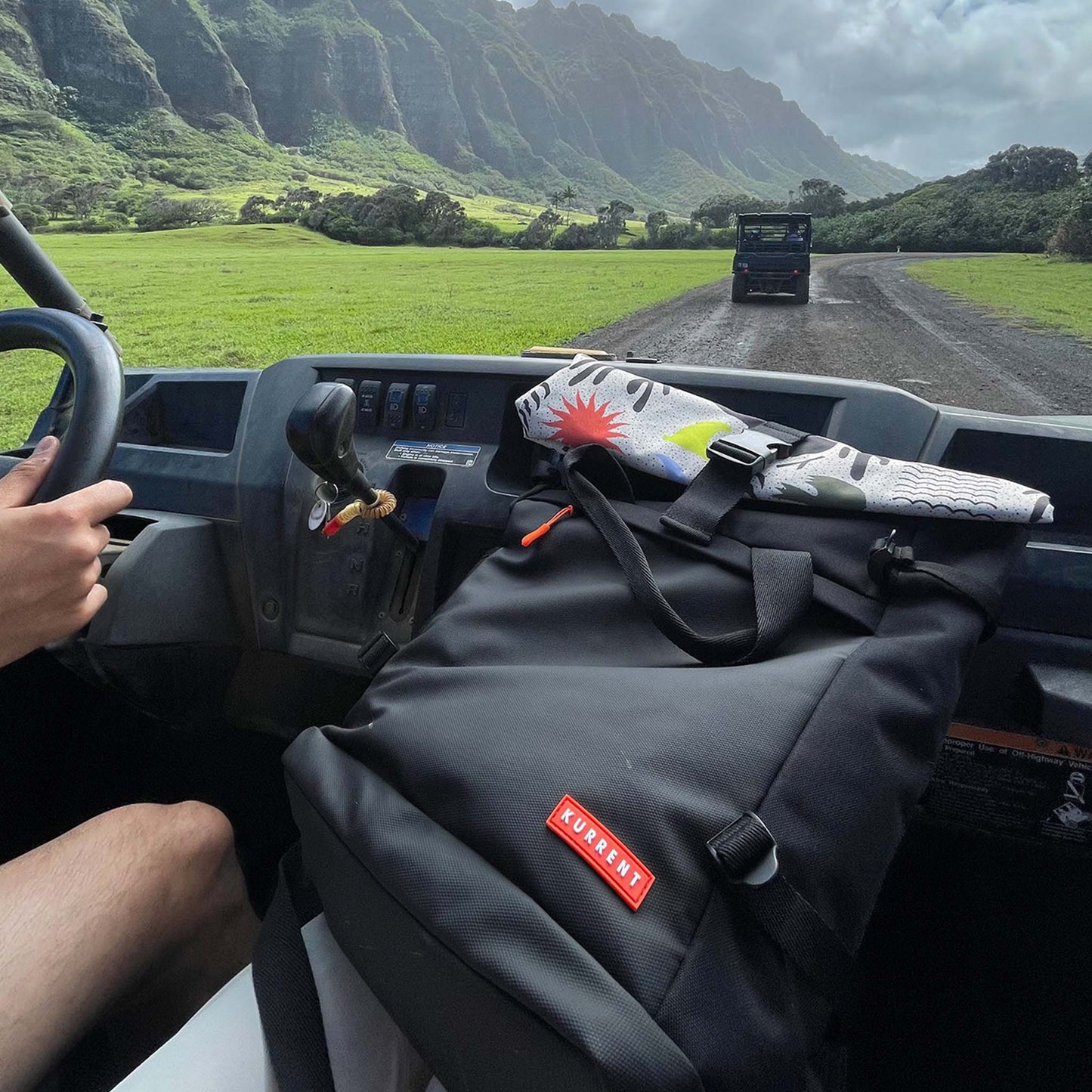 The Mullet in Desert Icons